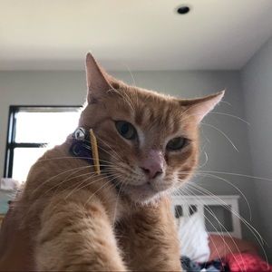 Meet your Posher, Jane